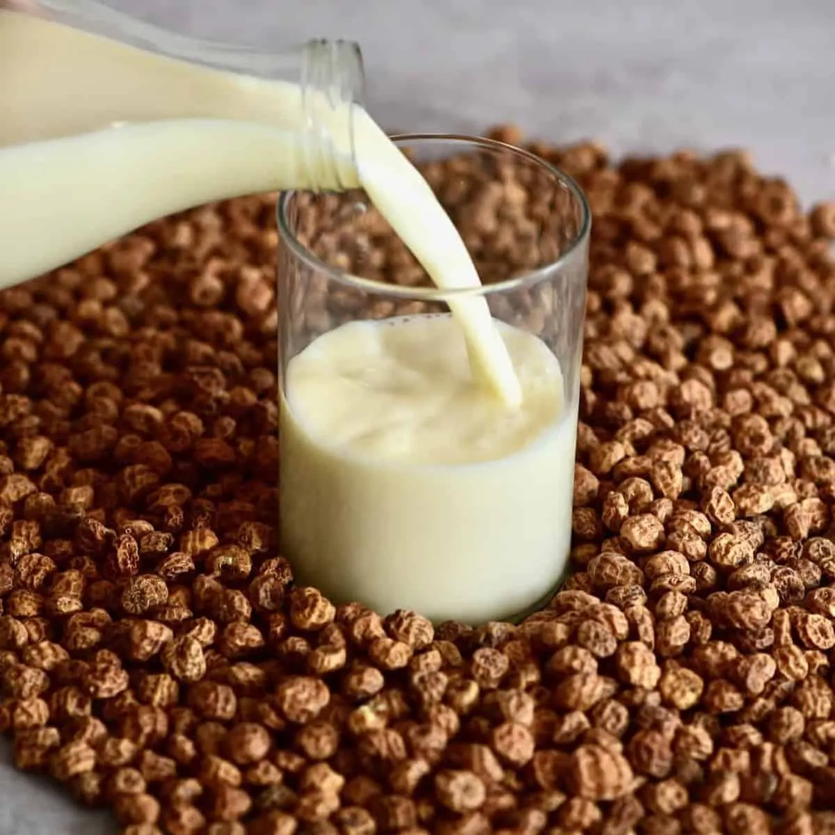 Tigernut Milk